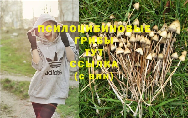прущая мука Лихославль