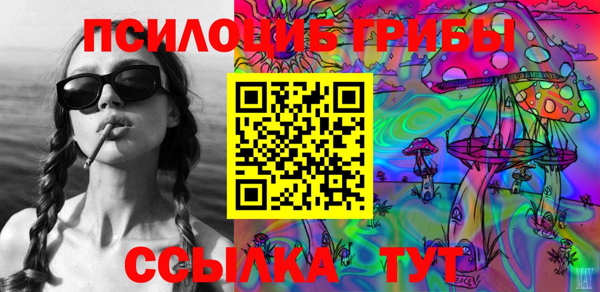 Севастополь  Галлюциногенные грибы Psilocybine cubensis  наркотики  Вход с VPN  Псилоцибиновые грибы Psilocybe 