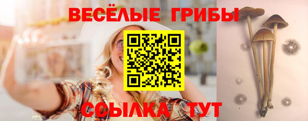 Галлюциногенные грибы прущие грибы Севастополь